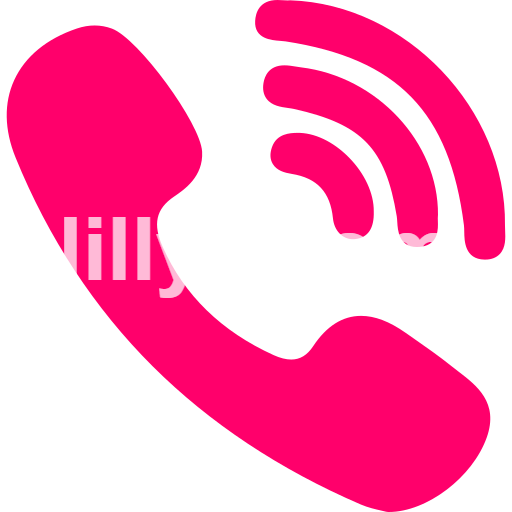 Chennai Call Girls service